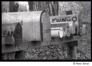 Mailboxes in front of Packer Corners commune: Mungo painted prominently on the side of one