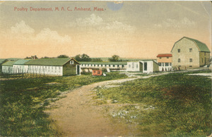 Poultry Department, M.A.C., Amherst, Mass.