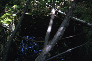 Well cistern to supply water to Sheriff Royal's house on Northwest Hill Road. View to north.