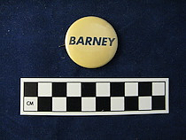 Button, Campaign