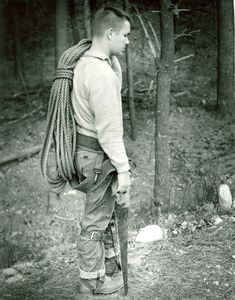 Forestry and Wildlife Management - Pruning trees