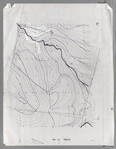 The Moon Lot (Draft of Topographic Map)