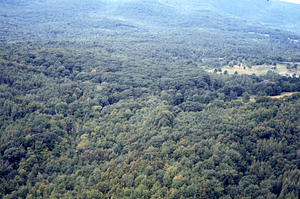 Aerial oblique view to west from over NW Hill Rd to Mason's Farm at right 2 Sept 1971.