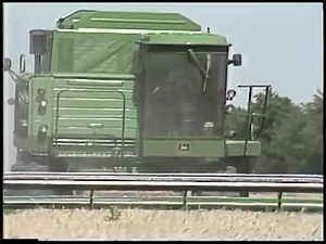 Wheat Harvest