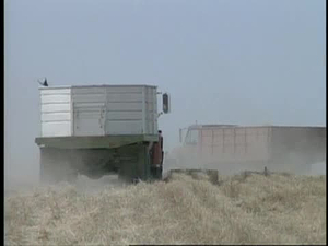 Oregon Story; Farming