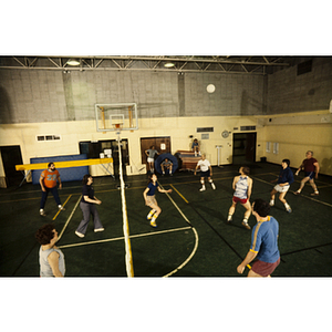 Group of players in a volleyball game