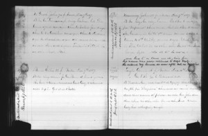 Tewksbury Almshouse Intake Record: Burns, Ellen