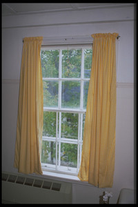 Window curtain