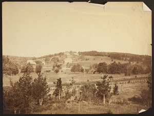 View of Woodlands, ca. 1865