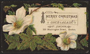 Trade card for Saint Joachim, 329 Washington Street, Boston, Mass., undated