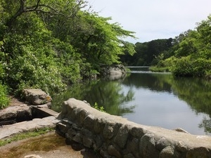 Mill pond at the Stony Brook Grist Mill and Museum