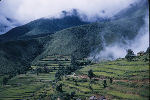 Terrace farming in Kathmandu Valley