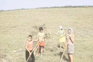 Children haying