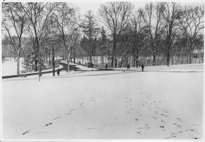 Campus Views, Roads and Walks 1920-1989