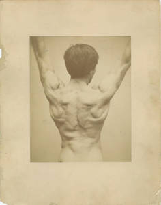 Robert J. Roberts Flexing Back Muscles