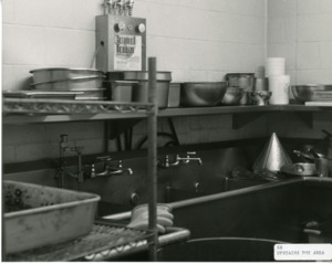 Photograph of a kitchen sink and shelving area, [1982-1983].
