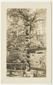 Totem Pole in the council ring on East Campus