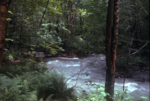View downstream on the South + Middle Branch Birch Brook. Morning after the 2.5" overnight (29-30 June 1973) rainfall event.