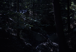 South Branch Birch Brook weir at extreme low-flow.