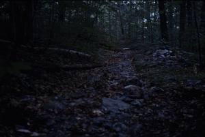 Bike-caused rechanning of the North Branch Birch Brook on the upper portion Birch Brook Trail.