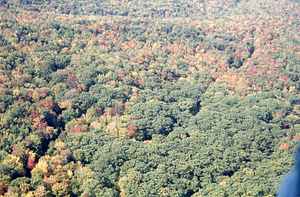 Aerial oblique view S-curve of new Carriage Road trail alignment on 14 October 1971.
