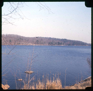 Birch pond, drinking water, 1975