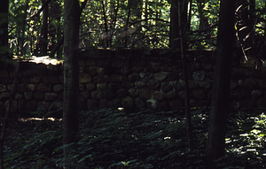 Hopkins Mansion garden wall from driveway entrance.