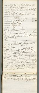 Tewksbury Almshouse Intake Record: Silver, Mary