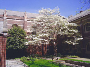 Cloister Garden at the Parish of the Epiphany