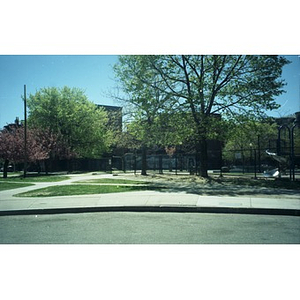 Playground and trees.