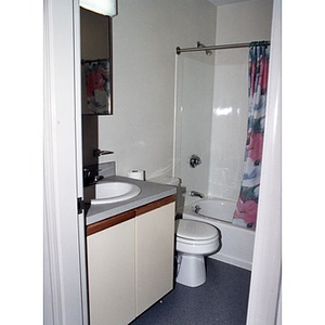 Bathroom in a Villa Victoria housing unit.