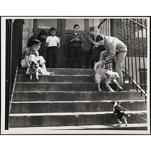 Six boys sit and stand, watching three dogs on the steps during a Boys' Club Pet Show