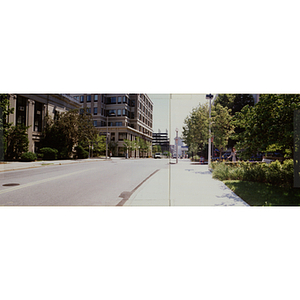 Intersection of Plymouth Street and Longwood Avenue