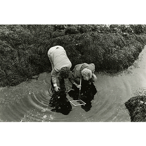 Marine scientists survey tide pool