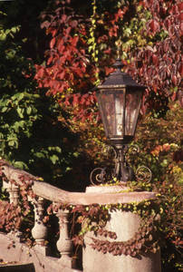 A lamp post on the Springfield College campus