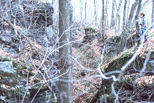 Williams Caves entrance area along boundary between the Humes II and Black Lots.