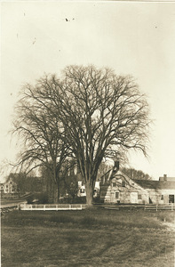 Farm on East Pleasant Street in Amherst