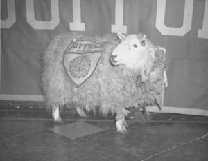 Suffolk University's mascot, Hiram the Ram, is unveiled at Class Day, 1950