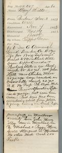 Tewksbury Almshouse Intake Record: Hill, Mary