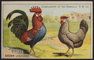 Trade card for the Domestic Sewing Machine Co., Boston, Mass., undated