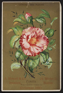 Trade card for A. Stowell & Co., 24 Winter St., Boston, Mass., December 1880