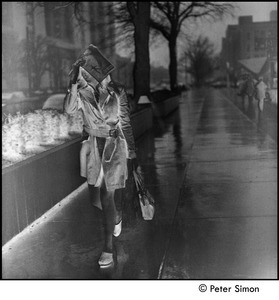 Woman walking in the rain on Commonwealth Avenue (solarized)