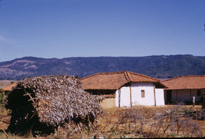 Birhor hut near more permanent structures