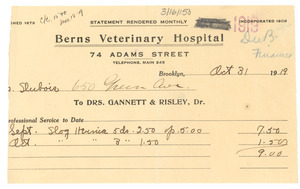 Berns Veterinary Hospital