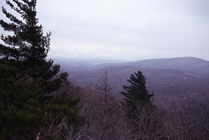 Panorama to the east from the top of a white pine in permanent plot 0712, Northern frame #1.