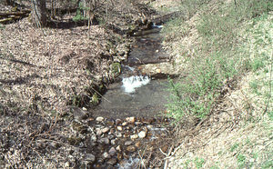 Closer view of wooden footings of the ice pond headwall dam on Ford Glen Brook west of Northwest Hill Road bridge.