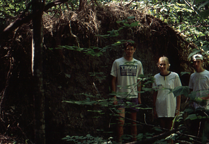 Impacts of 15 July 1995 storm in grid cell 0115. 2. Left to right: Jonah Wittkamper, Williams Class of 1997; Gail French, Williams Class of 1996; and Tim Billo, Williams Class of 1997 standing in pit of massive sugar maple tip-up.