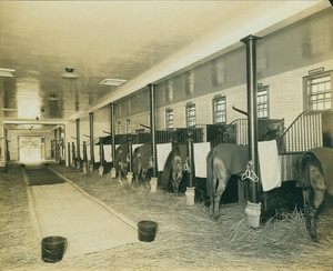 Interior view of the James H. Proctor Estate, stable, Ipswich, Mass., undated