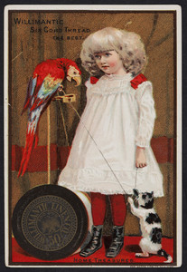 Trade card for Willimantic Six Cord Thread, Willimantic Linen Co., Willimantic, Connecticut, 1881
