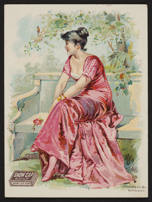 Trade card for Snow Cap Soap, location unknown, 1894